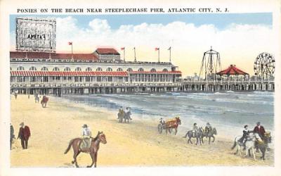 Ponies on the Beach near Steeplechase Pier Atlantic City, New Jersey Postcard