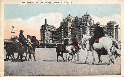 Ponies on the Beach Atlantic City, New Jersey Postcard