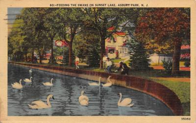 Feeding the Swans on Sunset Lake Asbury Park, New Jersey Postcard