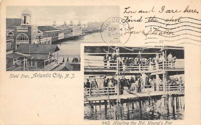 Steel Pier, Hauling the Net, Young's Pier Atlantic City, New Jersey Postcard