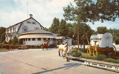 Black Steer Ranch Absecon, New Jersey Postcard