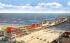 The World Famous Steel Pier Atlantic City, New Jersey Postcard