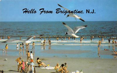 Hello from Brigantine New Jersey Postcard
