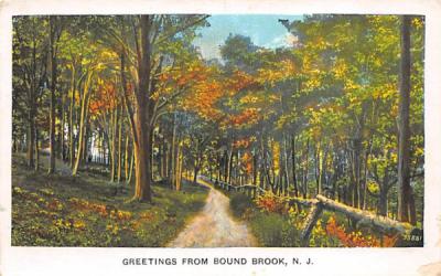 Greetings from Bound Brook New Jersey Postcard