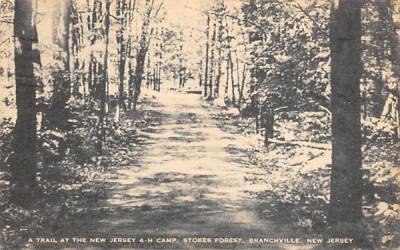 Stokes Forest, a trail at the New Jersey 4-H Camp Postcard