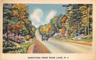 Greetings from Budd Lake New Jersey Postcard