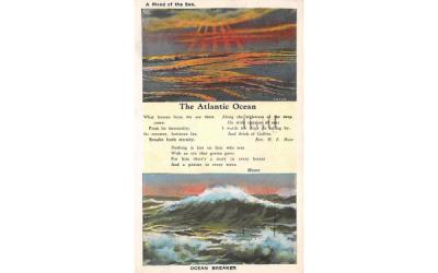 The Atlantic Ocean Beach Scene, New Jersey Postcard