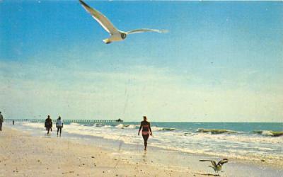 Ocean Scene Beach Scene, New Jersey Postcard