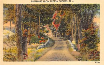 Greetings from Breton Woods New Jersey Postcard