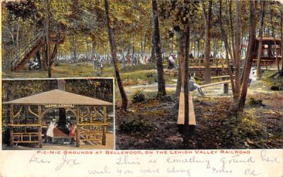 Pic-Nic Grounds at Bellewood New Jersey Postcard
