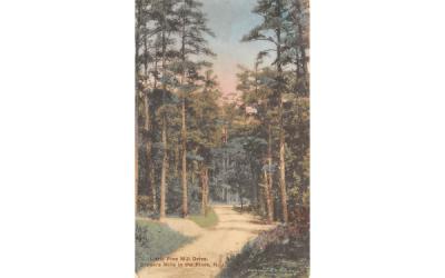 Little Pine Mill Drive Brown Mills, New Jersey Postcard
