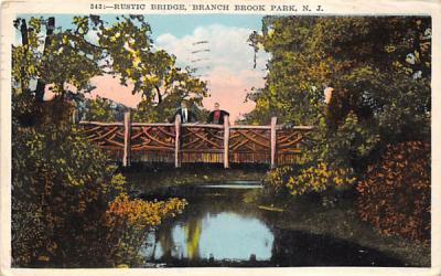 Rustic Bridge, Branch Brook Park New Jersey Postcard