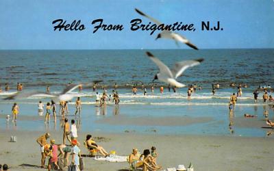 Hello from Brigantine, N.J., USA New Jersey Postcard
