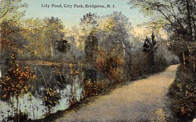 Lily Pond, City Park Bridgeton, New Jersey Postcard
