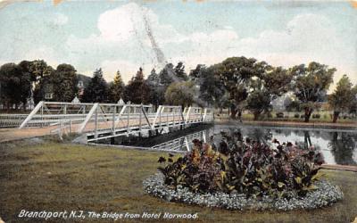 The Bridge from Hotel Norwood Branchport, New Jersey Postcard