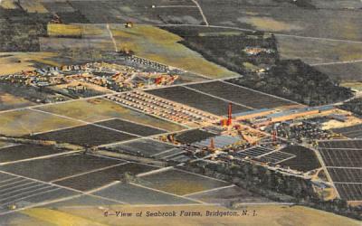 View of Seabrook Farms Bridgeton, New Jersey Postcard