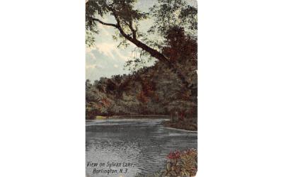 View of Sylvan Lake Burlington, New Jersey Postcard