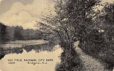 Lily Field, Raceway City Park Bridgeton, New Jersey Postcard