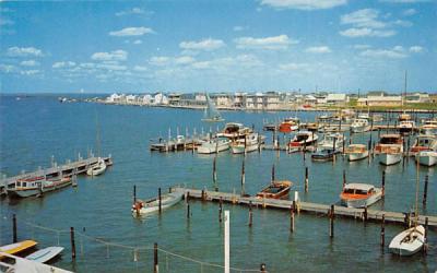Shoreline from Little Egg Harbor Yacht Club Beach Haven, New Jersey Postcard