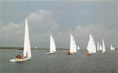 Sailing Regatta on Barnegat Bay New Jersey Postcard