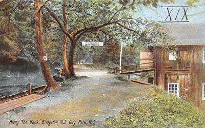 Along the Bank, City Park Bridgeton, New Jersey Postcard