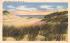 Sand Dunes Beach Haven, New Jersey Postcard