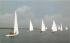 Sailing Regatta on Barnegat Bay New Jersey Postcard