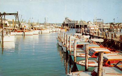 Dock Scene Cape May, New Jersey Postcard