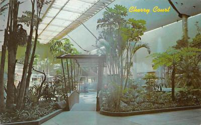 Cherry Court Cherry Hill, New Jersey Postcard