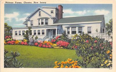 Melrose Farms Chester, New Jersey Postcard