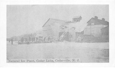 Natural Ice Plant, Cedar Lake Cedarville, New Jersey Postcard