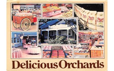 Delicious Orchards Colts Neck, New Jersey Postcard