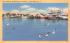 Sea Gulls at Schellengers Landing Cape May, New Jersey Postcard