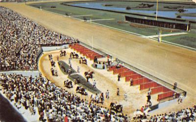 Stadium Type Paddock and Walking Ring Delaware Township, New Jersey Postcard