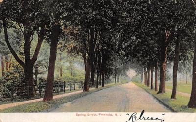Spring Street Freehold, New Jersey Postcard