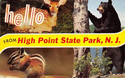 hello from High Point State Park New Jersey Postcard