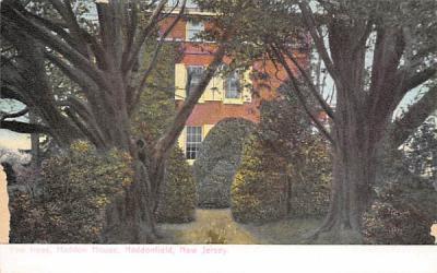 Yew Trees, Haddon House Haddonfield, New Jersey Postcard