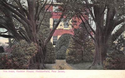Yew trees, Haddon House Haddonfield, New Jersey Postcard
