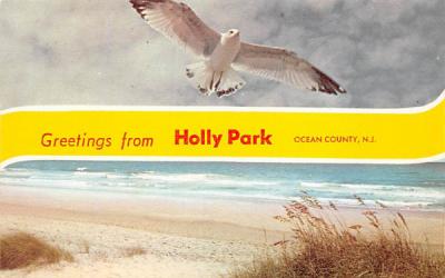 Greetings from Holly Park New Jersey Postcard