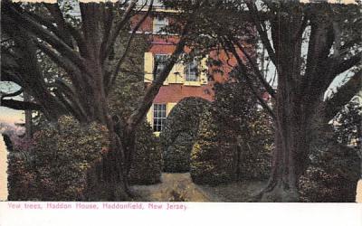 Yew trees, Haddon House Haddonfield, New Jersey Postcard
