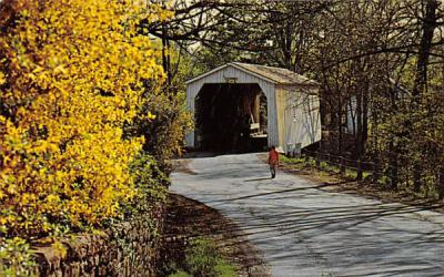 Green Sergeant's Covered Bridge Hunterdon, New Jersey Postcard