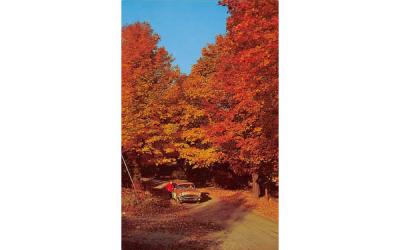 Autumn long West Shore Drive Highland Lakes, New Jersey Postcard