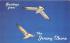 Graceful Gulls at the Jersey Shore New Jersey Postcard