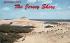 There are still some beautiful sand dunes here Jersey Shore, New Jersey Postcard