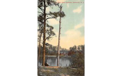 The Lone Pine, Lake Carasaljo Lakewood, New Jersey Postcard