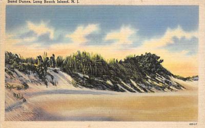 Sand Dunes Long Beach Island, New Jersey Postcard
