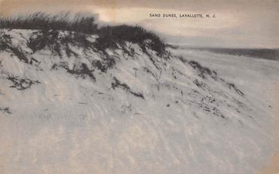 Sand Dunes Lavallette, New Jersey Postcard