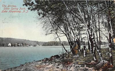 The Birches, Silver Spring Park Lake Hopatcong, New Jersey Postcard