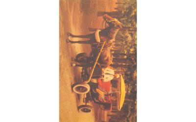 Horse and Buggy Lakewood , New Jersey Postcard