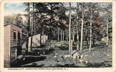 Cockerel City, Laurelton Farms Lakewood, New Jersey Postcard